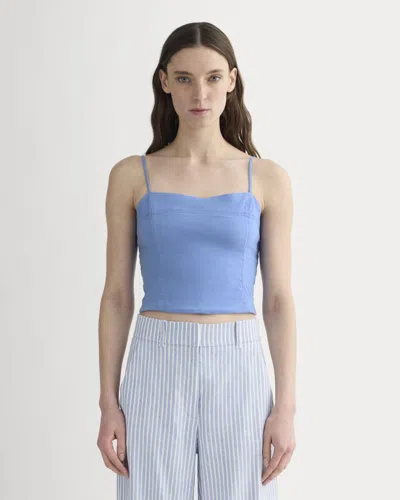 Everlane Seamed Top In Blue