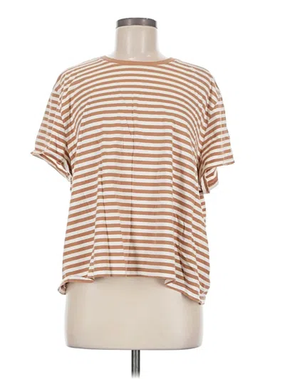 Pre-owned Everlane Short Sleeve T-shirt In Tan