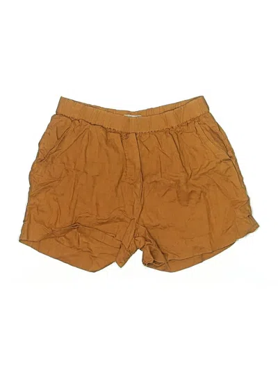 Pre-owned Everlane Shorts In Brown