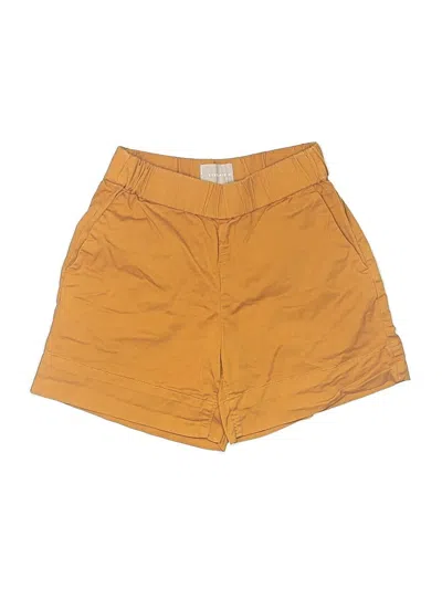 Pre-owned Everlane Shorts In Gold