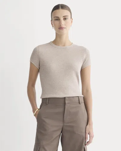 Everlane Shrunken Tshirt In Brown