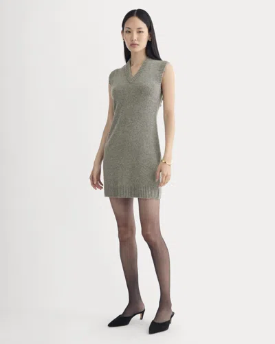Everlane Sweater Mini Dress In Animal Print