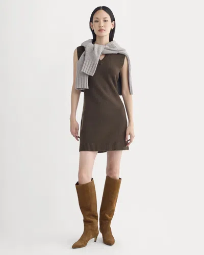 Everlane Sweater Mini Dress In Brown
