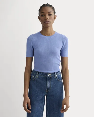 Everlane Sweater Tshirt In Purple