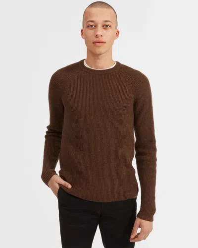 Everlane The Cashmere Rib Raglan Sweater In Brown
