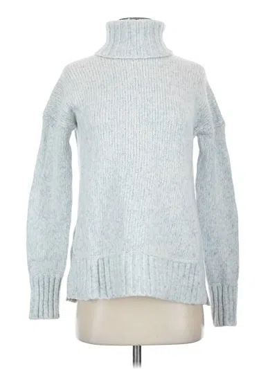 Pre-owned Everlane Turtleneck Sweater In Blue