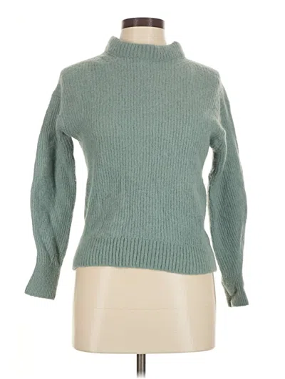 Pre-owned Everlane Turtleneck Sweater In Blue