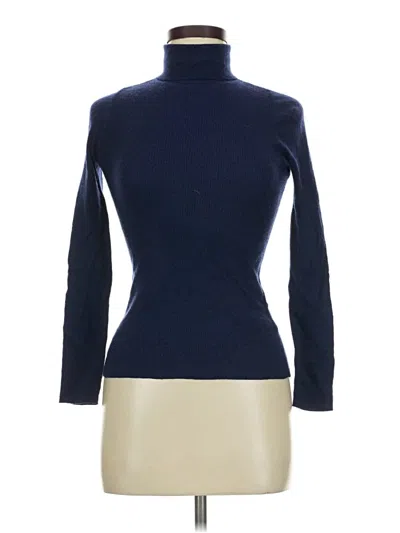 Pre-owned Everlane Turtleneck Sweater In Blue