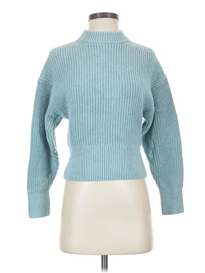 Pre-owned Everlane Turtleneck Sweater In Blue