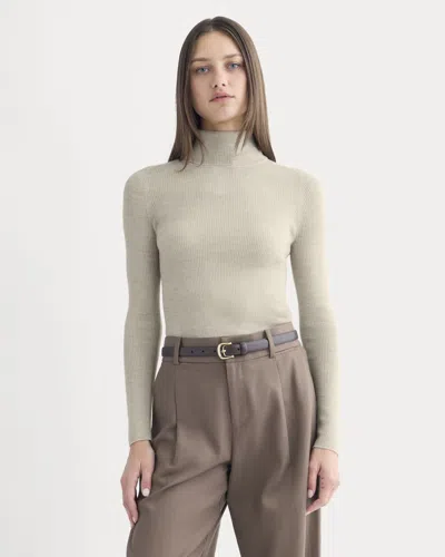 Everlane Turtleneck Sweater In Brown