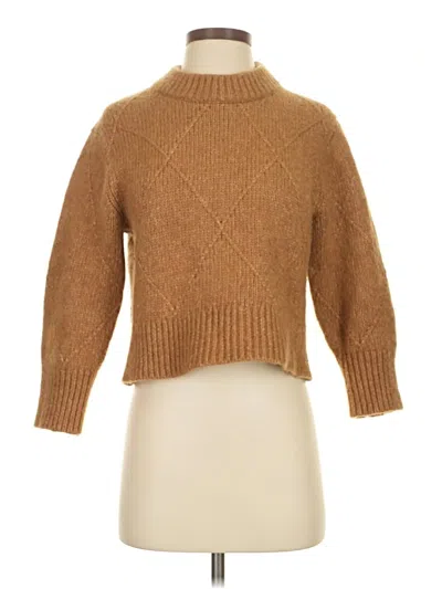 Pre-owned Everlane Turtleneck Sweater In Brown