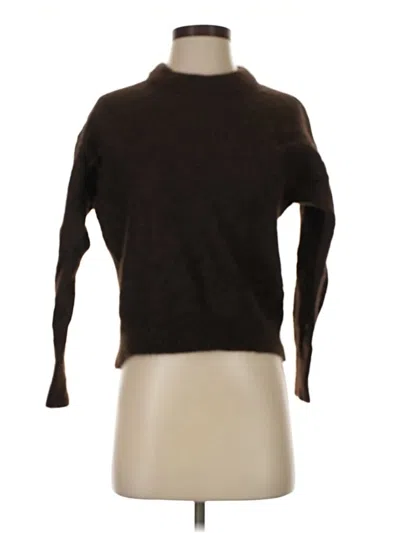 Pre-owned Everlane Turtleneck Sweater In Brown
