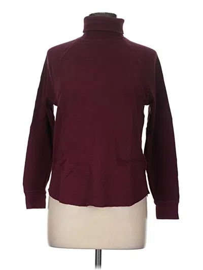 Pre-owned Everlane Turtleneck Sweater In Burgundy