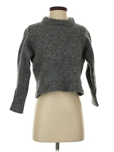 Pre-owned Everlane Turtleneck Sweater In Gray