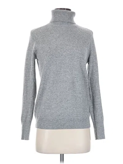 Pre-owned Everlane Turtleneck Sweater In Gray