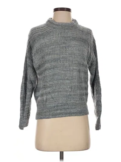 Pre-owned Everlane Turtleneck Sweater In Gray