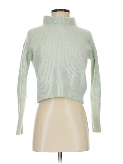 Pre-owned Everlane Turtleneck Sweater In Green