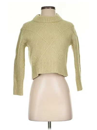Pre-owned Everlane Turtleneck Sweater In Green