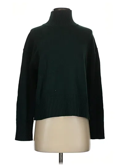 Pre-owned Everlane Turtleneck Sweater In Green