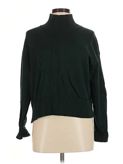 Pre-owned Everlane Turtleneck Sweater In Green