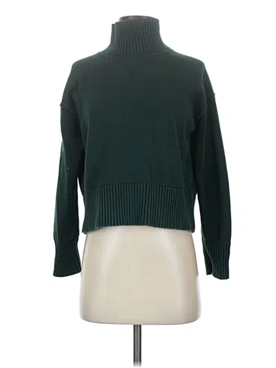 Pre-owned Everlane Turtleneck Sweater In Green