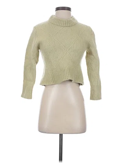 Pre-owned Everlane Turtleneck Sweater In Green