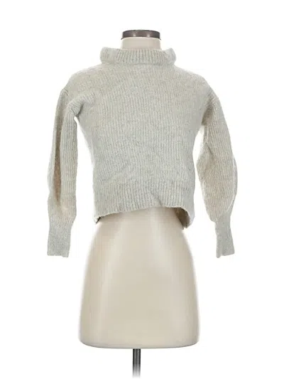 Pre-owned Everlane Turtleneck Sweater In Silver