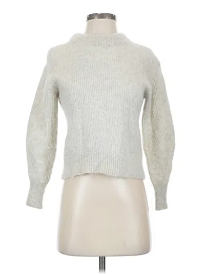 Pre-owned Everlane Turtleneck Sweater In Silver