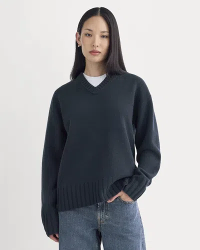 Everlane V-neck Sweater In Blue
