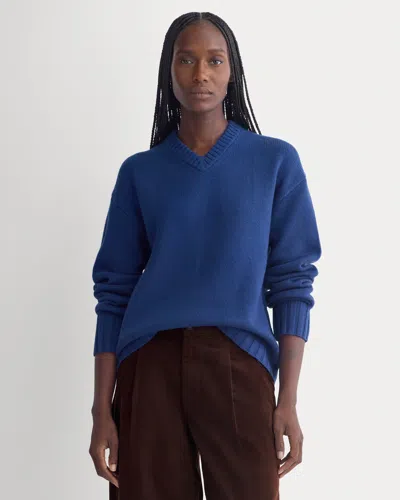 Everlane V-neck Sweater In Blue