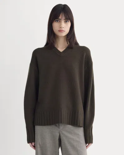 Everlane V-neck Sweater In Brown