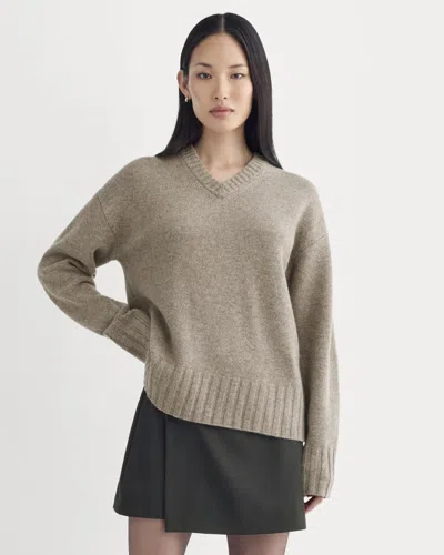 Everlane V-neck Sweater In Brown