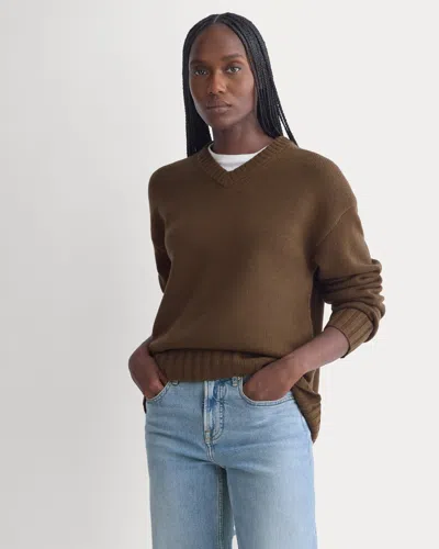 Everlane V-neck Sweater In Brown