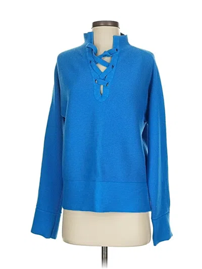 Pre-owned Everlane Wool Pullover Sweater In Blue