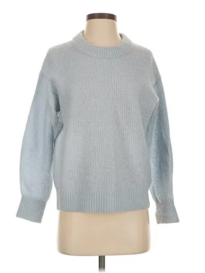 Pre-owned Everlane Wool Pullover Sweater In Blue
