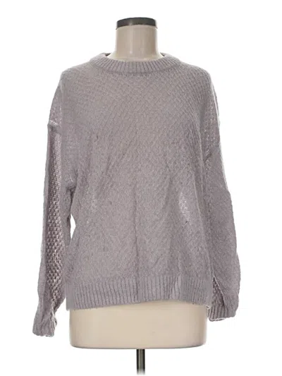 Pre-owned Everlane Wool Pullover Sweater In Gray