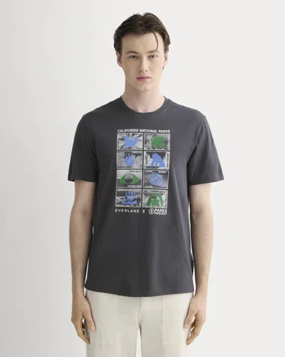 Everlane X Parks Project Essential Organic Crew Neck Tshirt In Forged Iron/natural/granada Sky Blue In Gray