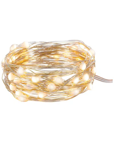 Everlasting Glow 19.6ft Rbg Battery Operated Smart Led Light String
