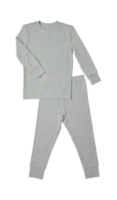 Everly Grey Babies'  Emerson Fitted Long Sleeve 2-piece Pajamas In Gray
