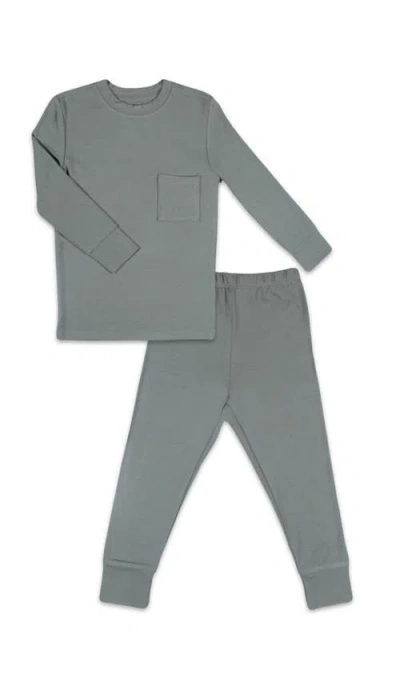 Everly Grey Babies'  Emerson Fitted Long Sleeve 2-piece Pajamas In Green