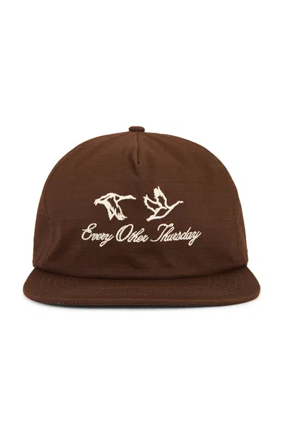 Every Other Thursday Ripstop Geese Logo Snapback In Brown