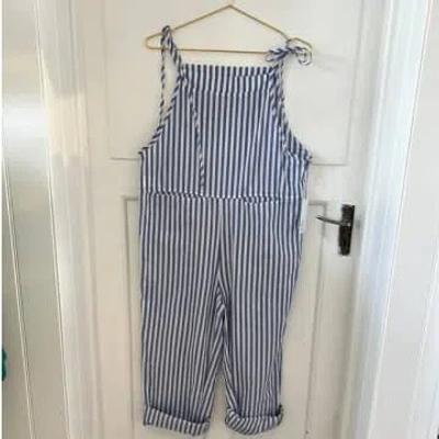 Every Thing We Wear Etww Dungarees Relaxed Fit Blue White Stripe