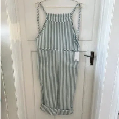 Every Thing We Wear Etww Simple Dungarees Mint White Stripe In Green