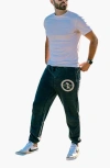 Everyday California Brutus Joggers In Grey