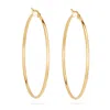Evesaddiction 2" Gold Stainless Steel Hoop Earrings In Gold