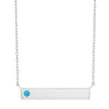 Evesaddiction Birthstone Bar Necklace - Silver / 1 In Metallic