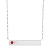 Evesaddiction Birthstone Bar Necklace - Silver / 2 In Metallic