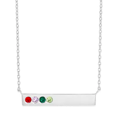 Evesaddiction Birthstone Bar Necklace - Silver / 4 In Metallic