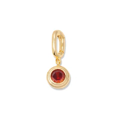 Evesaddiction Birthstone Hinge Charm - Gold / January