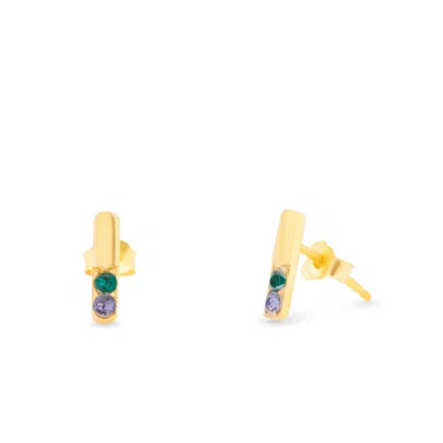 Evesaddiction Custom Bar Birthstone Earrings In Gold